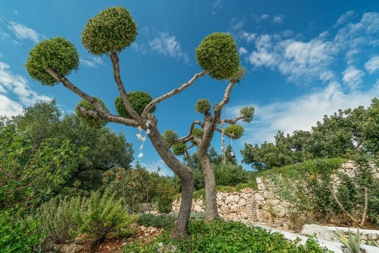 Askos Stone Villa - The Island Panorama Агиос-Николаос Экстерьер фото